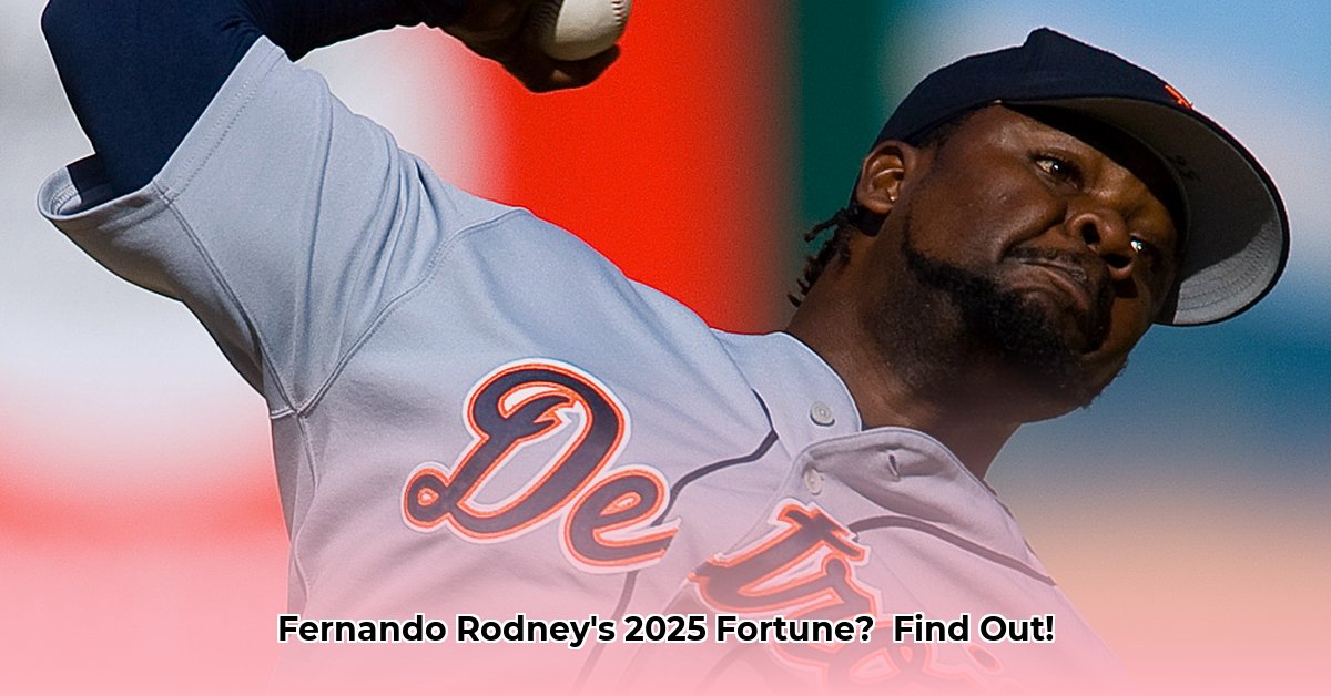 fernando-rodney-net-worth